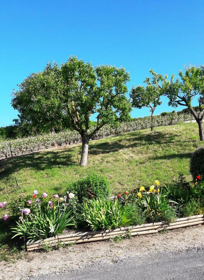 Le Logis Du Vendangeur Villa Champillon Bagian luar foto