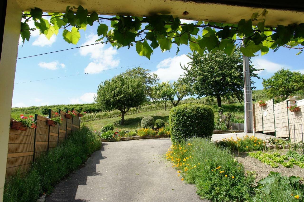 Le Logis Du Vendangeur Villa Champillon Bagian luar foto